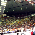 Miracle Explosion 2002